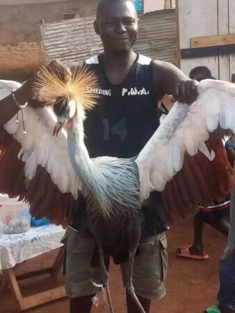 Centrafrique : Signes Prémonitoires et Avertissements Divins Entourent le Troisième Mandat de Touadéra