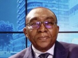 Maxime Balalou, Porte-Parole ou Mythomane ? Décryptage des Mensonges sur la Stabilité et le Développement en RCA