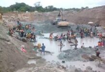 Comment l’exploitation chinoise de la Sanga asphyxie la ville de Nola Comment l'exploitation chinoise de la Sanga asphyxie la ville de Nola