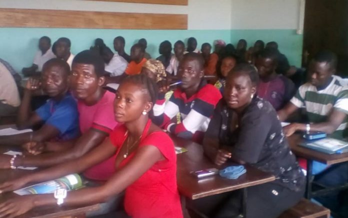 les jeunes en formation agricole à Bouar. 120-jeunes-de-nana-mambere-centrafrique-formes-technique-agricole-financee-par-fao Centrafrique : la FAO vient de financer une activité de maraichage en bénéfice de 120 jeunes de Bouar et de ses environs.