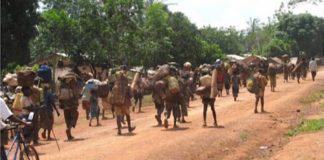 marche en groupe de la population fuyant la guerre en Centrafrique