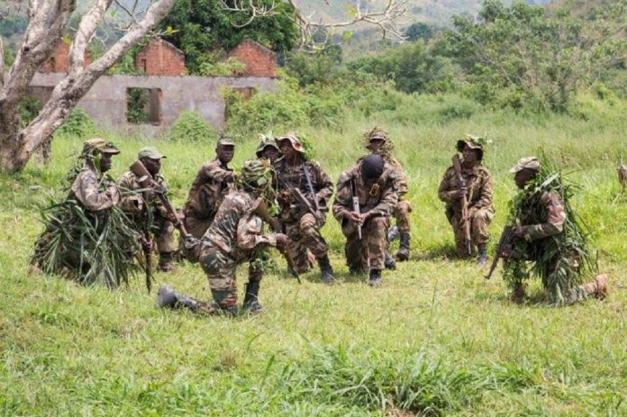 formation-finale-par-EUTM-des-chefs-FACA Centrafrique : communiqué de presse de l'EUTM-2018 sur l'exercice final de l’entraînement opérationnel du bataillon amphibie