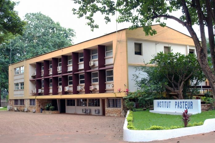 Institut Pasteur de Bangui en République centrafricaine. CopyrightIP institut-pasteur-de-bangui-en-centrafrique Centrafrique : L’Institut Pasteur de Bangui : plus de 55 années au service de la santé des Centrafricains