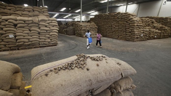 Des noix de cajou sont empilés dans un entrepôt à Bouaké Cote d'Ivoire le 23 février 2017 Des-noix-de-cajou-sont-empilés-dans-un-entrepôt-à-Bouaké-Cote-dIvoire-le-23-février-2017 Des Mesures contre la chute des prix de la noix de cajou en Côte d'Ivoire