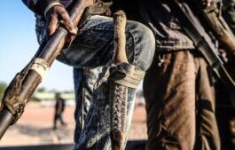 des-terroristes-de-la-secte-Boko-Haram Nigéria : Sept terroristes de Boko Haram tués dans le nord-est .