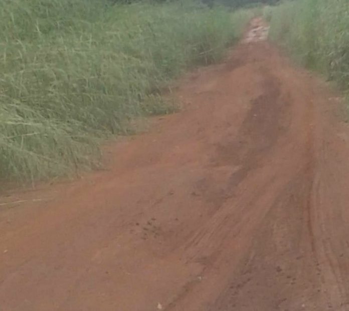 route-sibut-grimari Centrafrique : travaux de route Sibut-Bambari, Semence et SAT empochent 2 milliards de francs CFA.