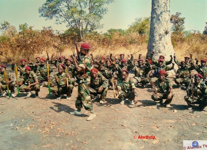 5-combattants-de-la-seleka-avec-leurs-armes RCA : violent affrontement entre les Anti-Balaka et les rebelles de l’UPC proche de Kouango.