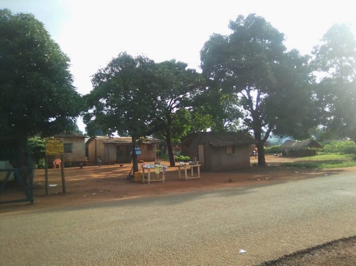 village sarki au nord-ouest de la centrafrique village-sarki-a-15-kilomètres-de-koui-dans-louham-pendé-par-gervais-lenga-pour-cnc-le-6-aaoût-2019 Un homme abattu froidement au village Sarki par les 3R.