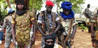 des rebelles de la seleka en Centrafrique