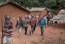Tension sur l’axe Bossangoa-Bossembélé : le retour des coupeurs de route inquiète Centrafrique : des jeunes d’autodéfense de Ngarba capturent deux bandits tchadiens et réclament l’aide de l’armée