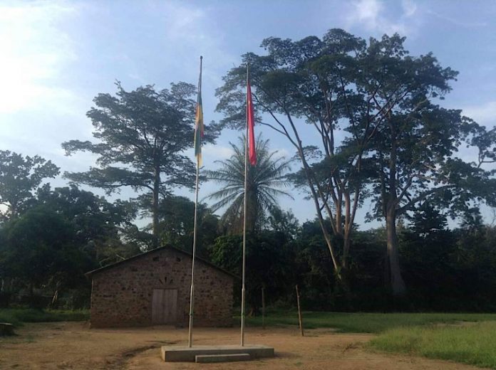 ferme-de-la-famille-dologuelé-exploitée-par-un-pasteur-et-des-chinois-pour-la-culture-de-riz-et-des-chompignons-à-nguerengou-pk22-route-de-damara-le-3-novembre-2019-par-cyrille Quand les Chinois exploitent illégalement le terrain de Dologuélé sans son consentement.