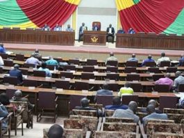 Hémicycle de l'assemblée nationale centrafricaine le 29 novembre 2019. Crédit photo : Corbeaunews.
