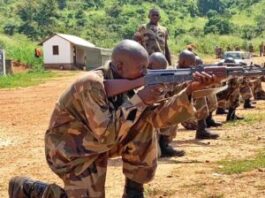 Centrafrique : Vaste recrutement de 1 000 jeunes à Ndélé par les mercenaires russes du groupe Wagner