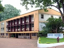 institut Pasteur de-bangui-en-centrafrique