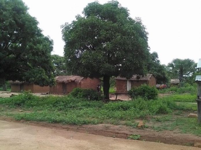 Village Talé, situé entre Bozoum et Paoua. Photo CNC / Florentine Maïguelé. Sur-la-route-de-Bozoum-Paoua-village-Talé RCA : Nana-Mambéré, la présence des 3R crée une panique au village Bokaya