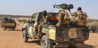 Des militaires maliens en patrouille mixte avec des membres des Gatia et MSA autour de Menaka - le 19 avril 2017