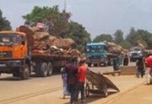 Des camions de marchandises en provenance de la Centrafrique entrent au Cameroun par le poste frontière Garoua-Boulai.
