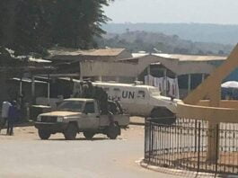 Patrouille des forces de sécurité intérieure avec leur allié à Bouar.
