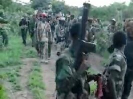 les combattants rebelles de l'UPC dans la fôret du Mbomou, en République centrafricaine.