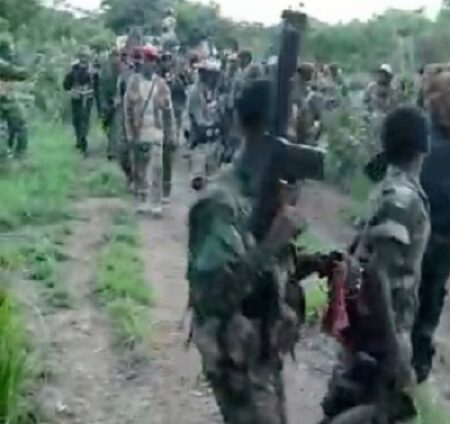 les combattants rebelles de l'UPC dans la forêt du Mbomou, en République centrafricaine.