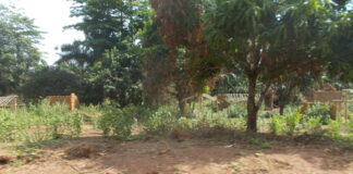 Village Boukanga, situé à 20 kilomètres de Yaloké sur l'axe Bossembélé, Photo CNC