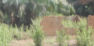 Village Gbogbo, situé à 100 kilomètres de Bria sur l'axe Yalinga. Photo CNC
