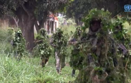 Zone de défense du nord-est : plus de 450 soldats désertent leurs pour retourner à Bangui