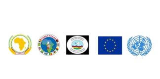 Différents drapeaux des pays et institutions du G5 Centrafrique