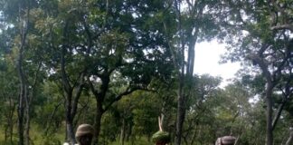 des élveurs peuls débout devant un boeufs tués par des soldats FACA au campement proche de Pougole vers Paoua