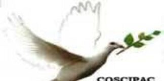 Logo de COSSIPAC
