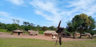 Vue d'ensemble d'un village entre Boda et Bambio