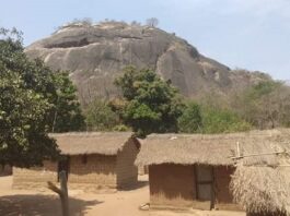 Le village Talé, situé entre Bozoum et Paoua, dans Lim-Pendé village-Tale-vers-Paoua-et-Bozoum À  Boyabane , les récoltes menacées par les pluies diluviennes