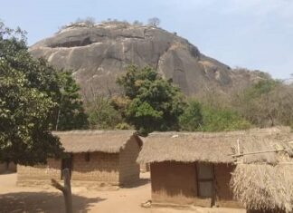 Le village Talé, situé entre Bozoum et Paoua, dans Lim-Pendé village-Tale-vers-Paoua-et-Bozoum À  Boyabane , les récoltes menacées par les pluies diluviennes