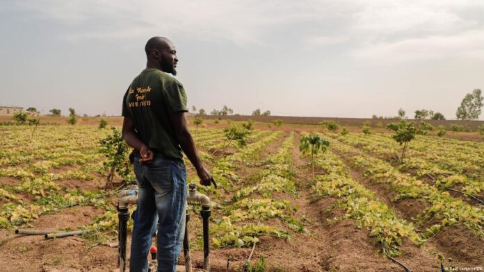 Toujours-les-affres-de-linsécurité-au-Mali Toujours les affres de l'insécurité au Mali