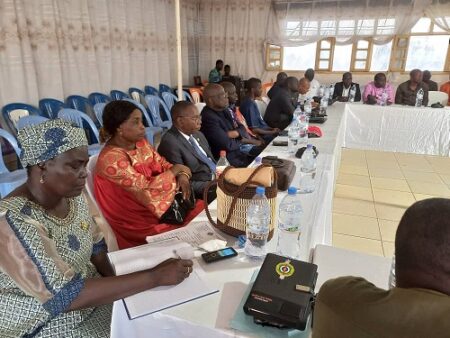 Les députés assis à latterale gauche lors de la reunion d'appel à voter le projet de Loi sur la cryptomonaie à l'hôtel Azimuts à Bangui