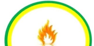 logo crédit populaire de Centrafrique