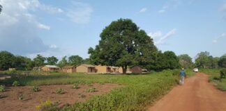 La commune de Ouandago, située à 50 kilomètres de Kaga-Bandoro sur axe Kabo. CopyrightCNC