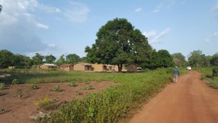 La commune de Ouandago, située à 50 kilomètres de Kaga-Bandoro sur axe Kabo. CopyrightCNC