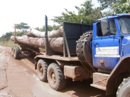 Une entreprise paramilitaire russe profite du trafic de bois en République centrafricaine / Tout un monde / 6 min. / aujourd'hui à 08:14