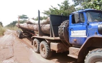 Une entreprise paramilitaire russe profite du trafic de bois en République centrafricaine / Tout un monde / 6 min. / aujourd'hui à 08:14