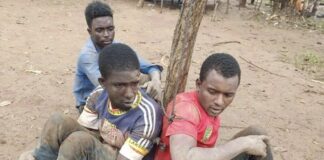 les trois malfaiteurs camerounais interpellés par les rebelles de 3R dans la sous-préfecture de Koui