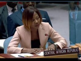 Madame Sylvie Baïpo-Temon, ministre centrafricaine des Affaires Étrangères