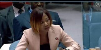 Madame Sylvie Baïpo-Temon, ministre centrafricaine des Affaires Étrangères