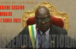 CENTRAFRIQUE : UN DÉPUTÉ DE LA NATION QUALIFIÉ PAR LE POUVOIR DE BANGUI D'APATRIDE PEUT-IL JURIDIQUEMENT SIÉGER À L'ASSEMBLÉE NATIONALE ?