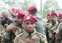 Peuples autochtones : une hypocrisie institutionnelle qui perdure Les défis des peuples autochtones en Centrafrique: entre promesses et abandon criminel