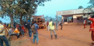 Grève des employés de la société bois VICA Centrafrique