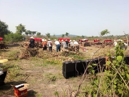 Les chinois sur le terrain d'incinération des 9 corps de leurs compatriotes à Bangui