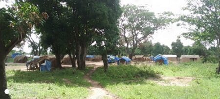 Les abris des déplacés internes de Bocaranga