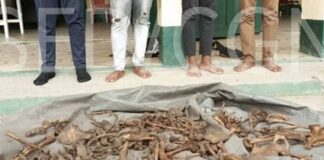 Un centrafricain intercepté avec des ossements humains à Douala