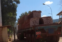 La RCA est-elle prête face à l’interdiction d’exporter le bois brut ? La RCA est-elle prête face à l’interdiction d’exporter le bois brut ?